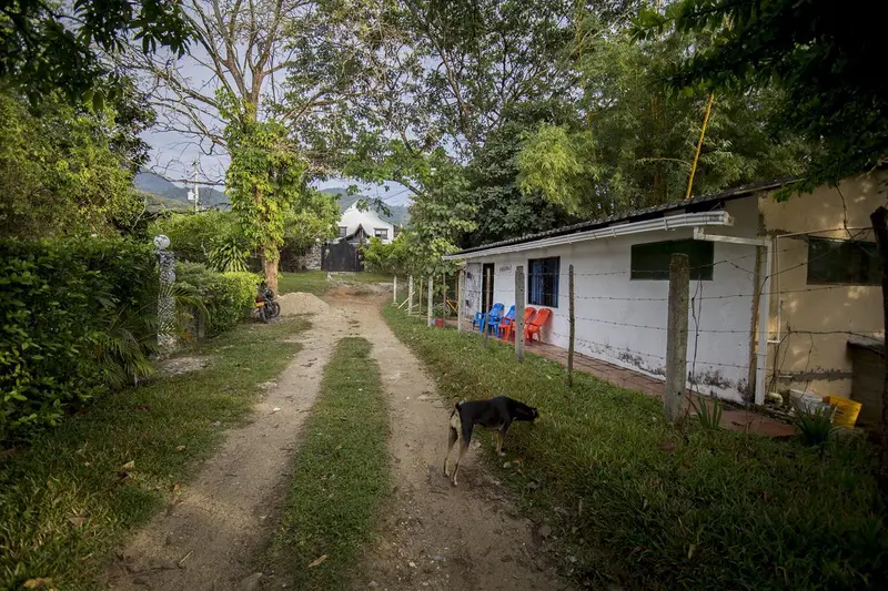 A dog trotting along a grassy dirt lane next to a long white house and a wire fence