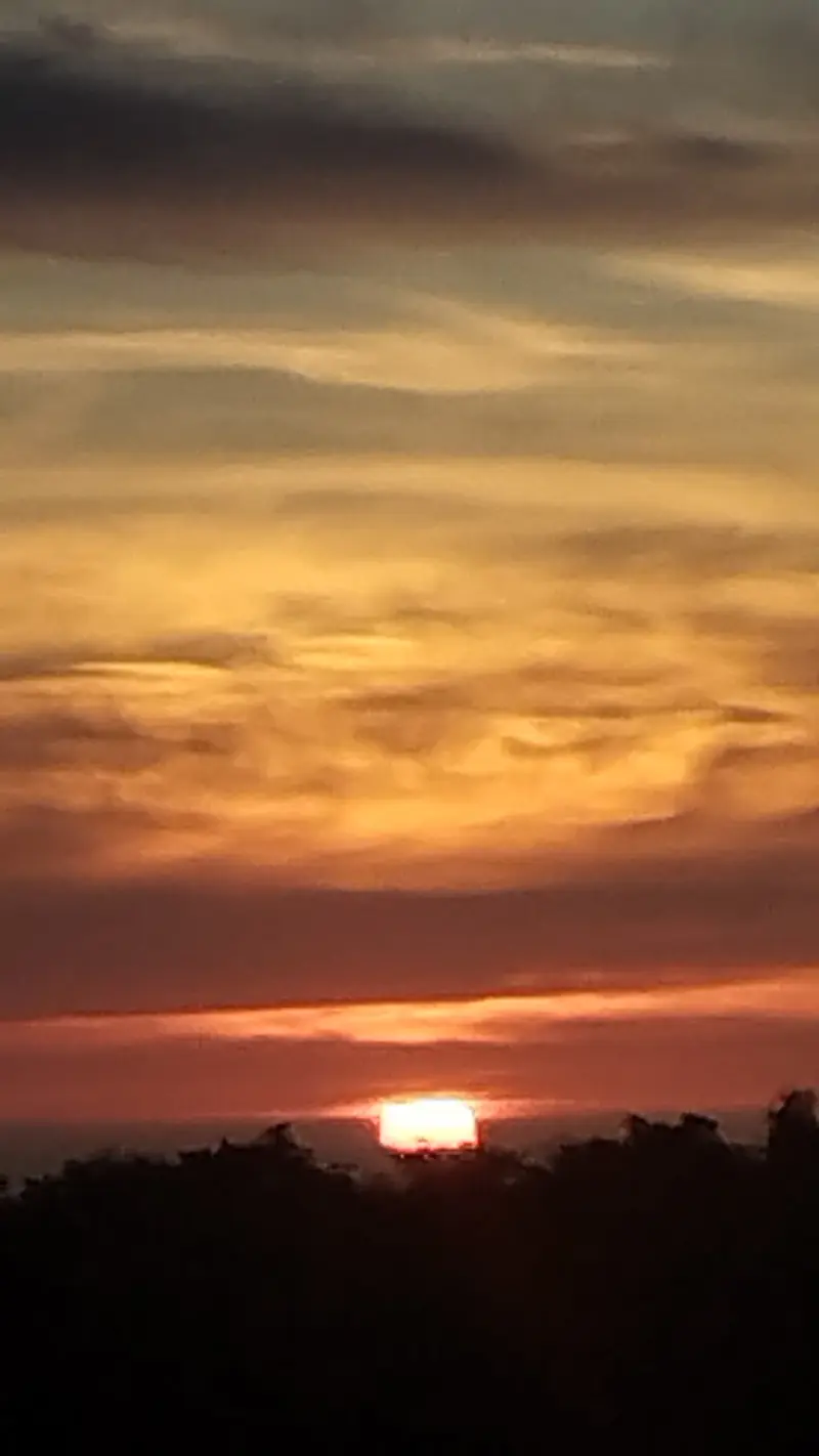 A deep orange sunset with the sun just above a dark tree line and streaked clouds