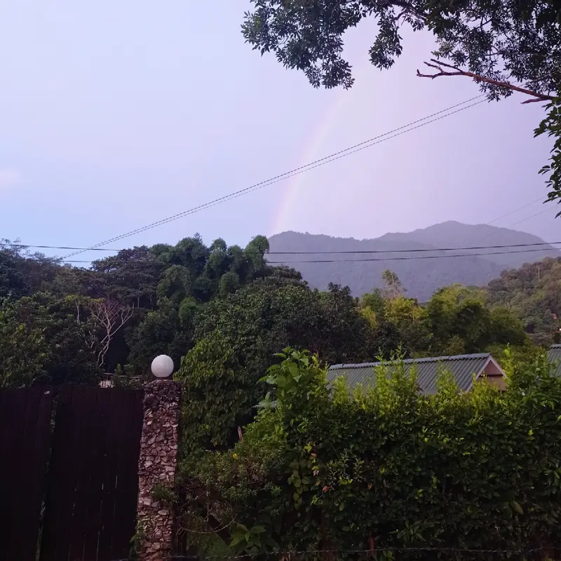 A rainbow over a misty green mountain, seen over a hedge, a metal roof and a dark gate with a stone pillar and a round white lamp