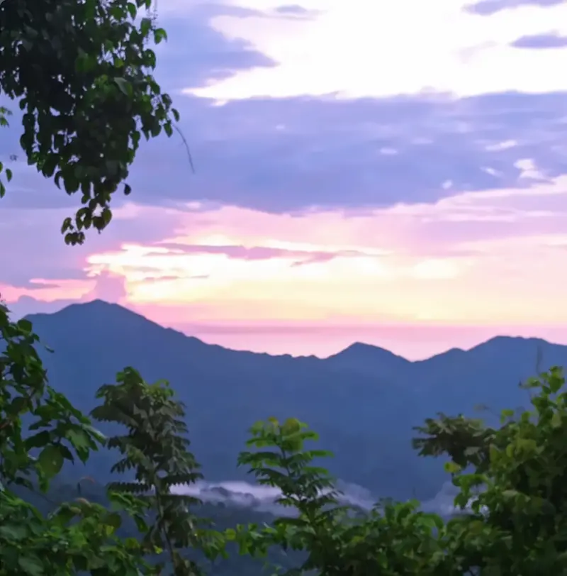 Pink and lavender sunset over the dark ridges of the Sierra Nevada, framed by jungle leaves