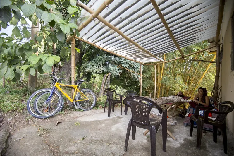 A covered terrace with a translucent roof, plastic chairs and a yellow bicycle, jungle behind