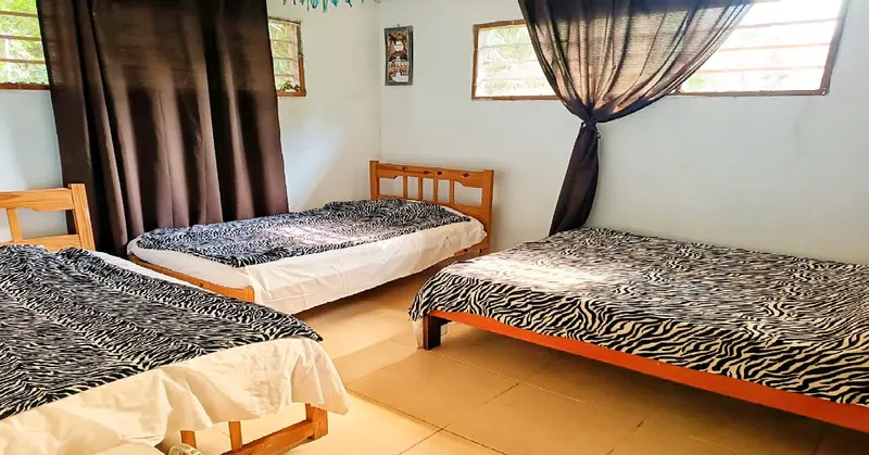 Wider view of the room with three single beds, two windows with sheer dark curtains and a framed picture