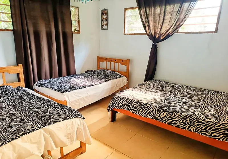 A bright room with three single wooden beds made up with zebra-print covers, curtains at the windows and a tiled floor